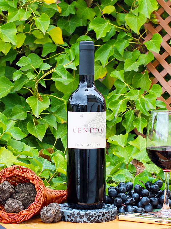 Cilento Aglianico Cenito 2020 - Luigi Maffini