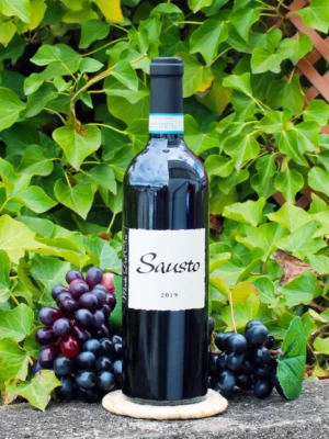 Valpolicella Superiore Ripasso Sausto 2019 - Monte Dall’Ora