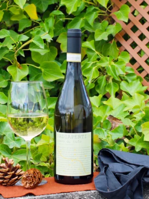 Greco di Tufo DOCG 2022 - Traerte Contrada Vadiaperti