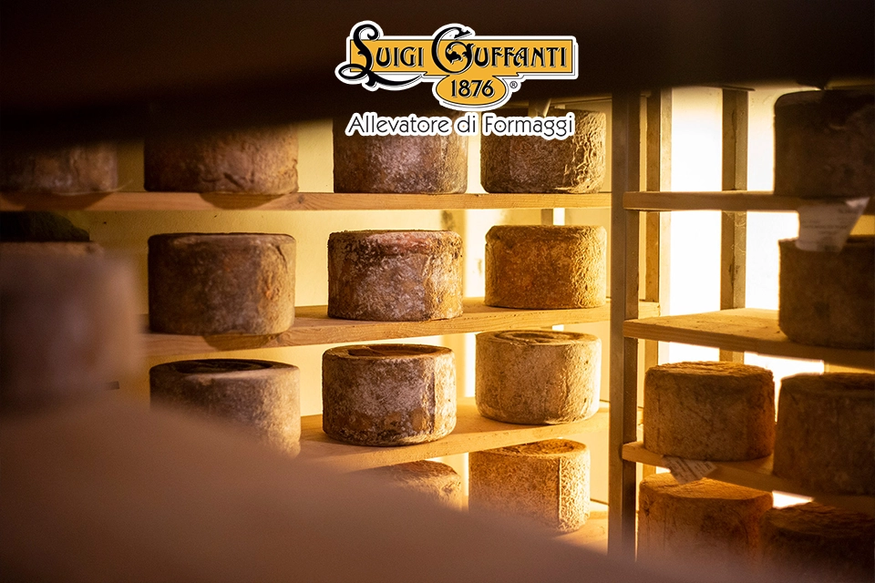 Logo Luigi Guffanti et caves d’affinage