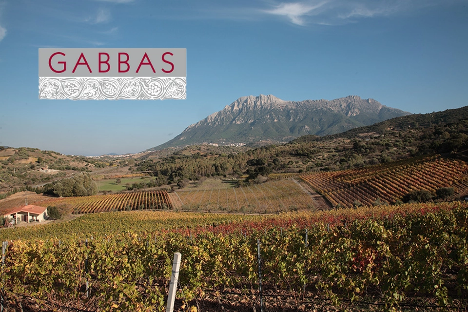 Logo et vignoble de Giuseppe Gabbas