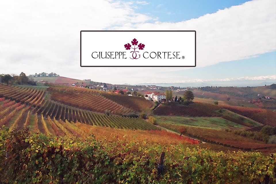 Logo et vignoble de Giuseppe Cortese
