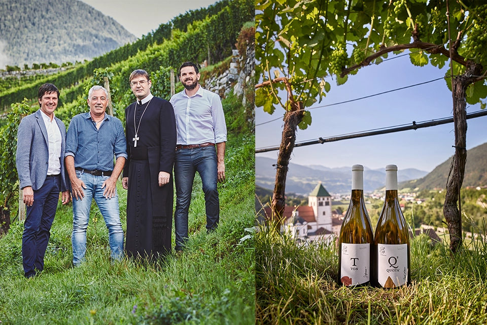 Vignoble de l'Abbaye Kloster Neustift sous un ciel bleu