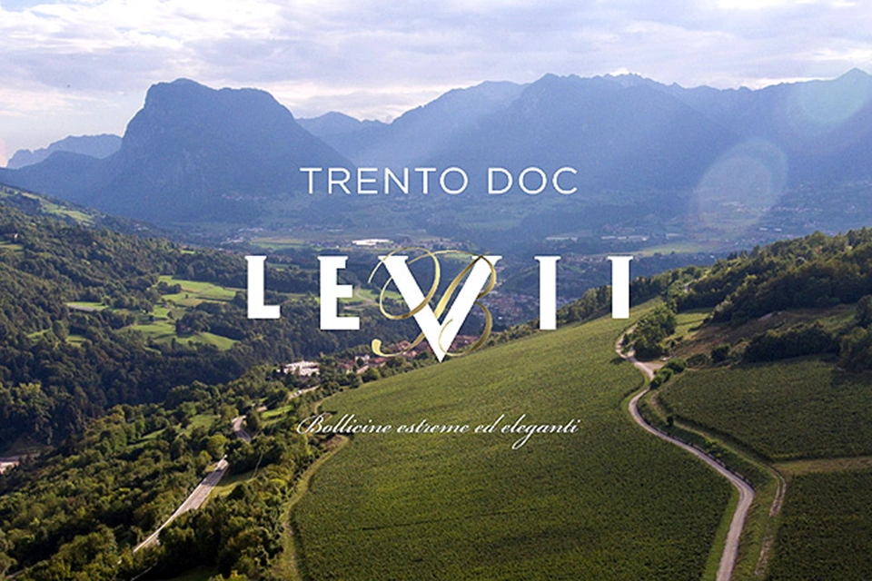 Logo Levii sur fond de vignobles en montagne