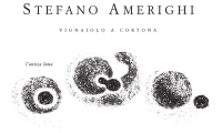 Logo Stefano Amerighi