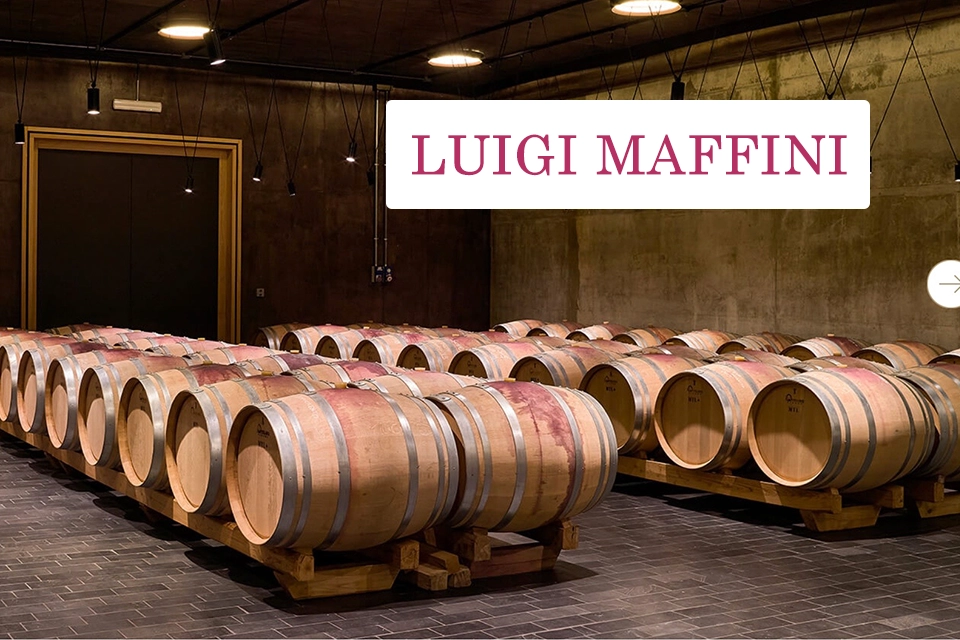 Logo et cave de Luigi Maffini