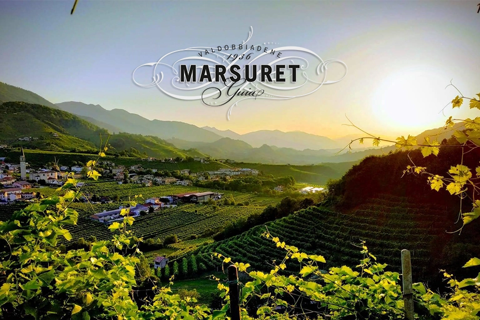 Photo et logo de la région du producteur Marsuret