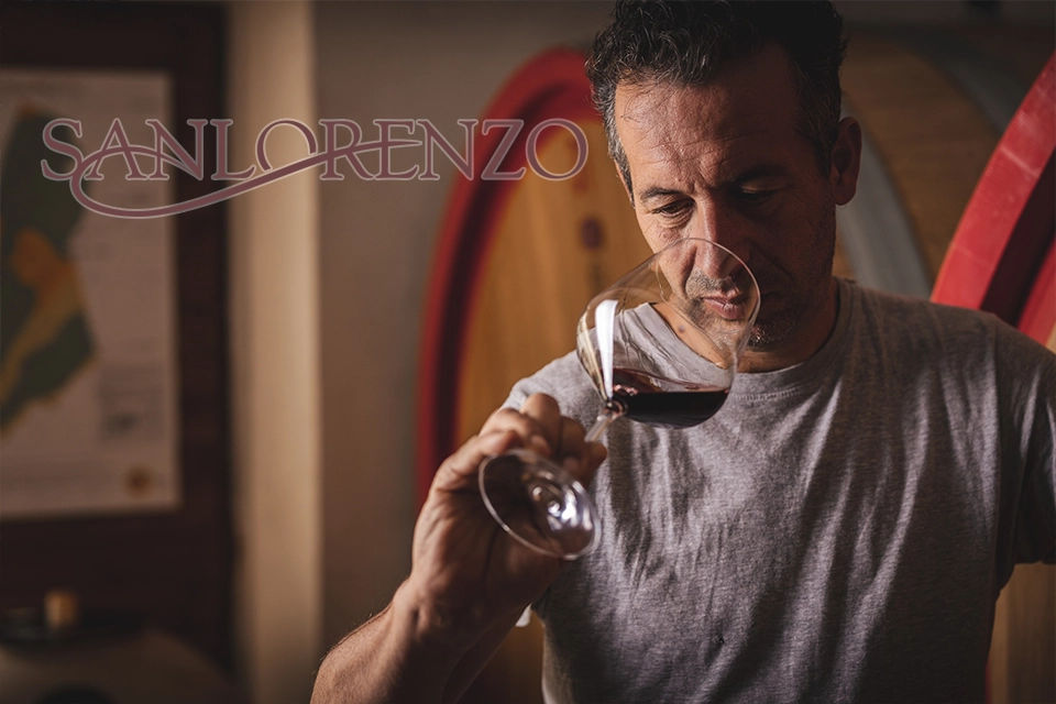 Image de mise en avant du domaine San Lorenzo