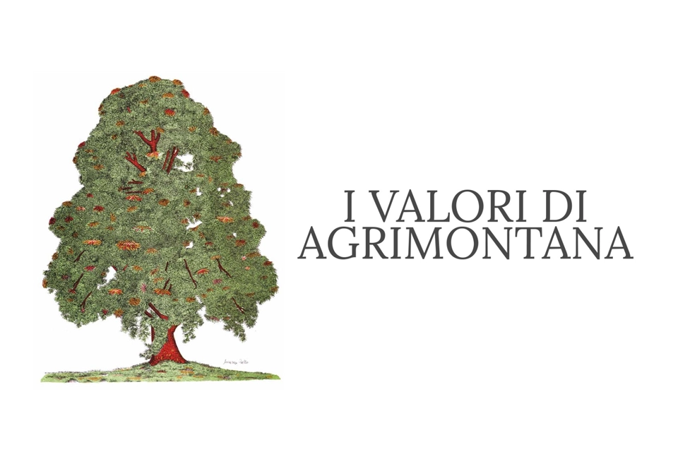 Logo Agrimontana et illustration d’un châtaignier