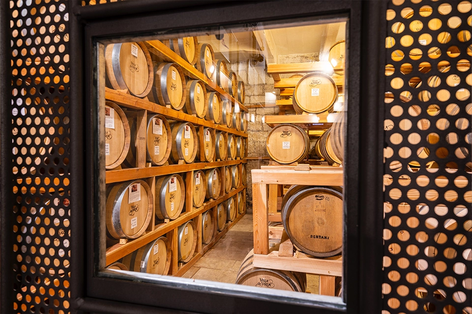 Vue sur une cave remplie de barriques