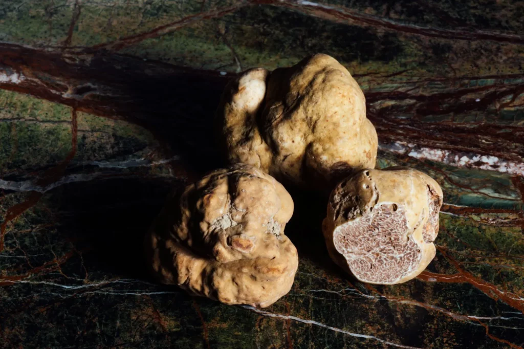 Accéder à la catégorie truffes fraîches